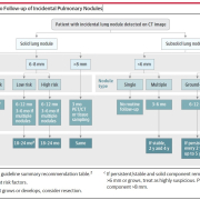 Incidental Pulmonary Nodules Detected on CT Images